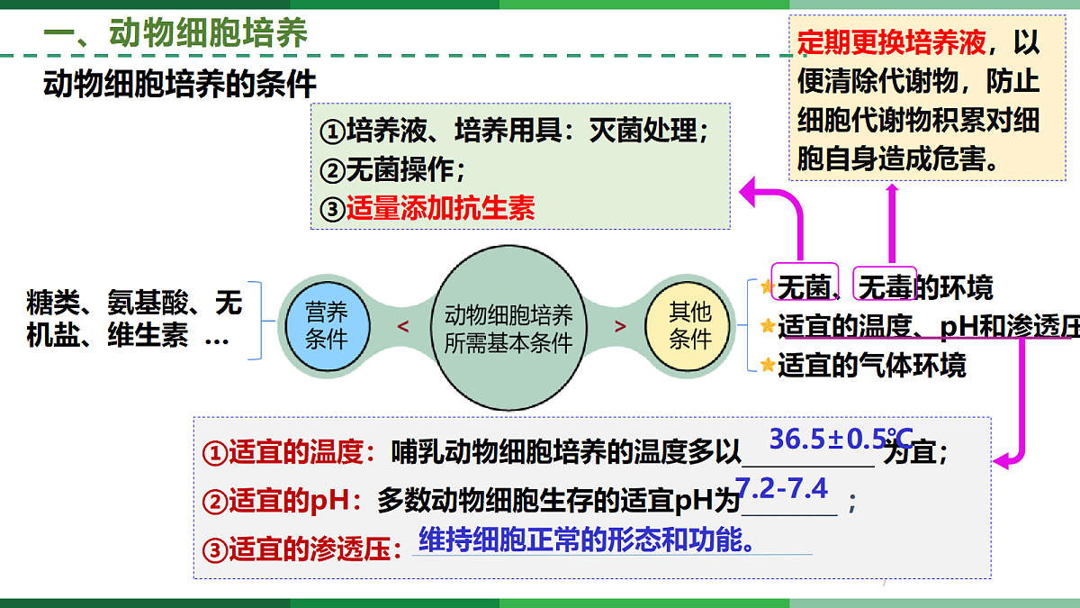 18112380第7页