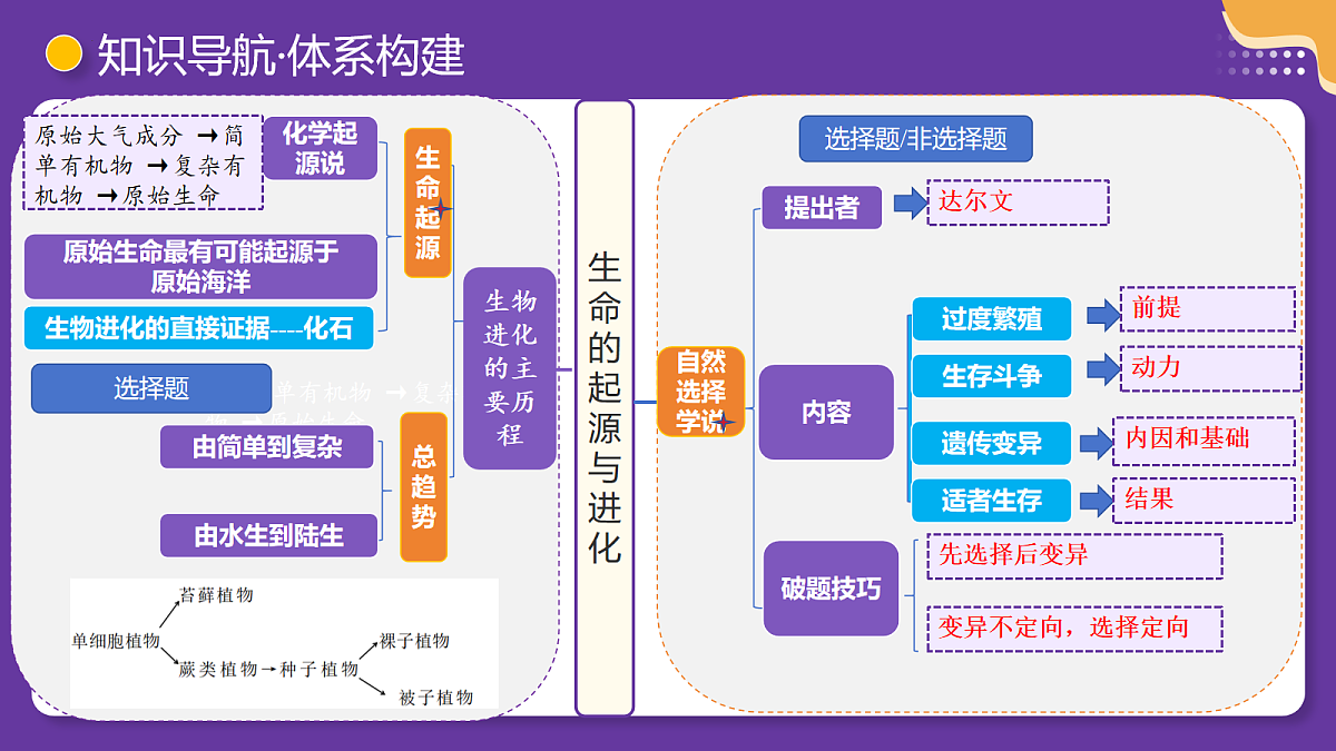 18112588第7页