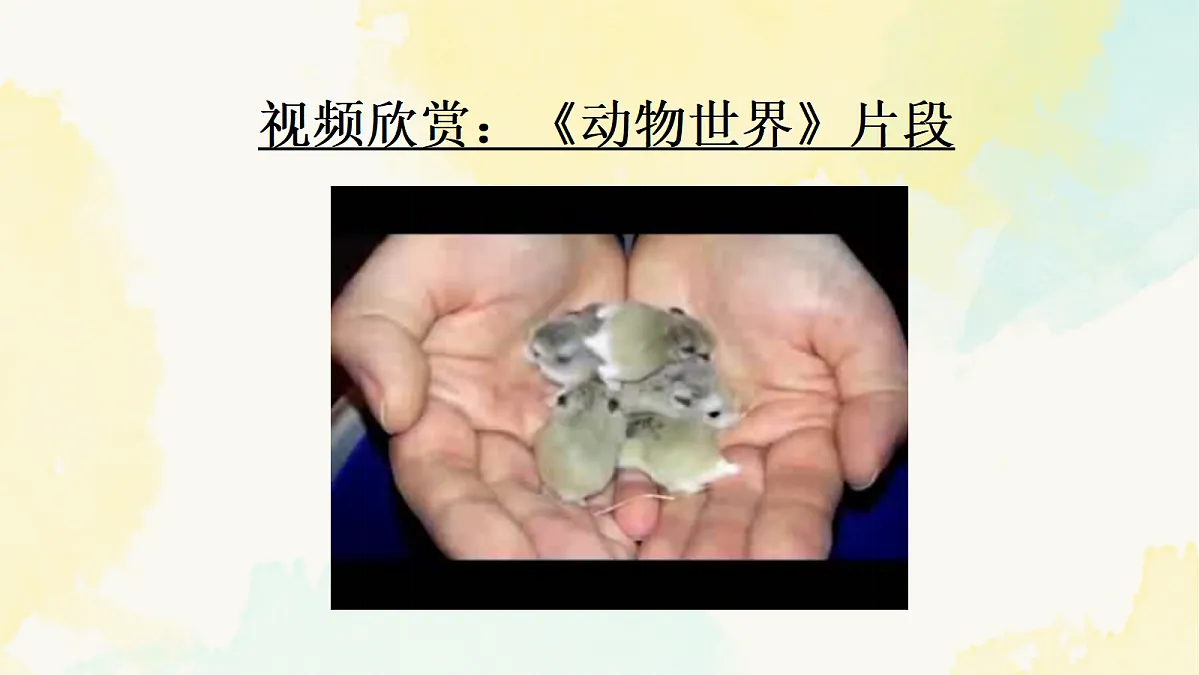 18112650第4页