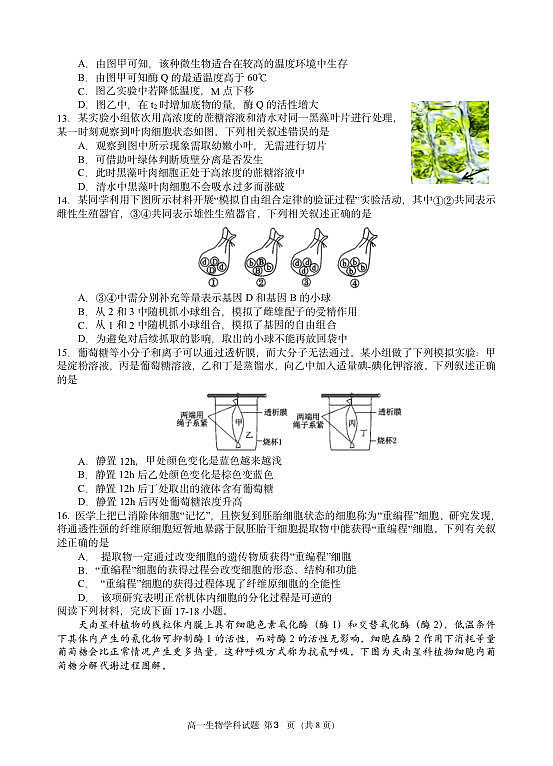 生物试题第3页