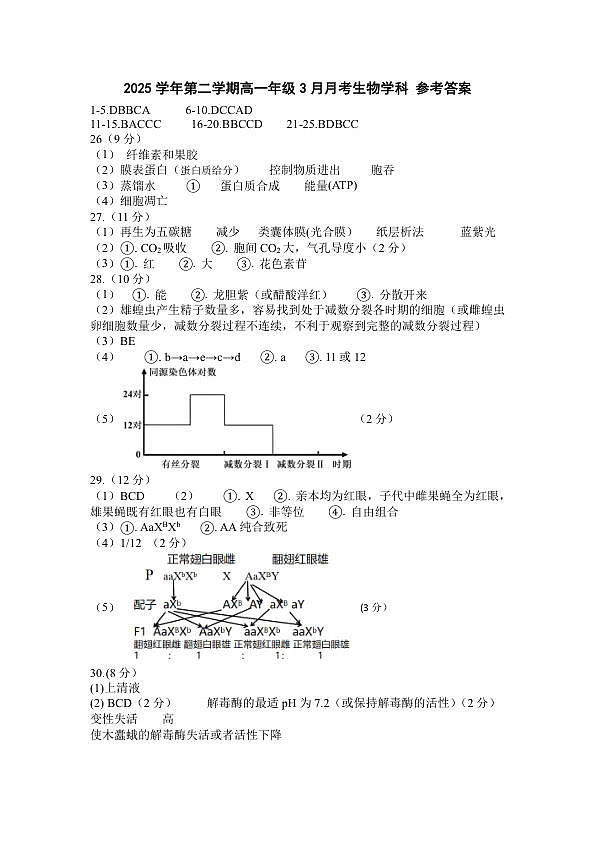 生物试题答案第1页