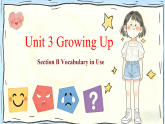 Unit 3 Section B Vocabulary in Use 课件-人教版初中英语八年级下册（新教材）