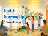 Unit 3 Section B 3a-3c 课件-人教版初中英语八年级下册（新教材）