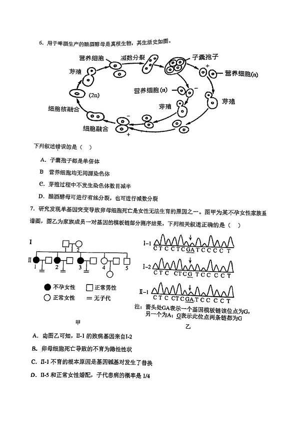 18113851第3页