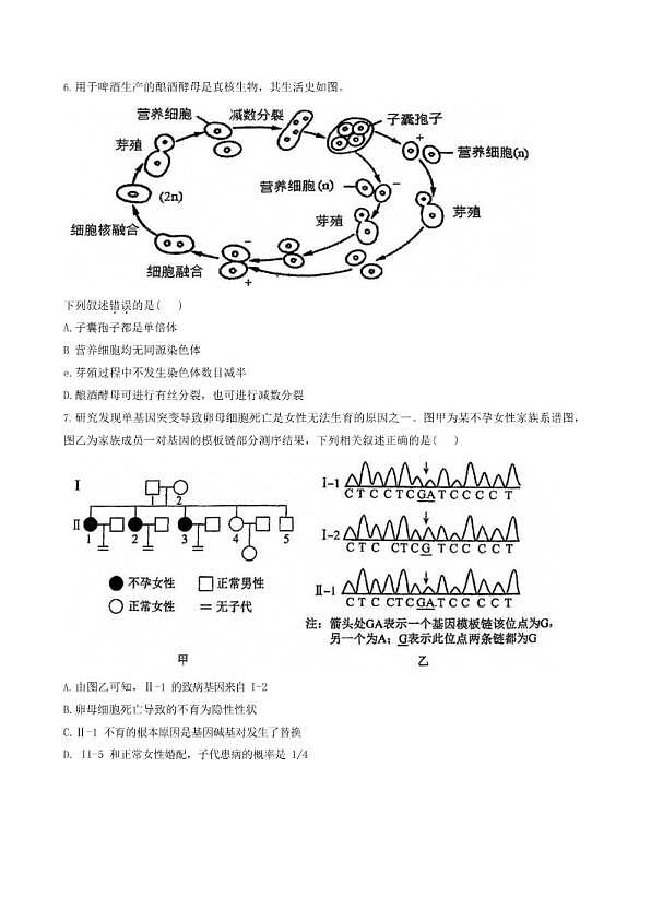 18113876第3页
