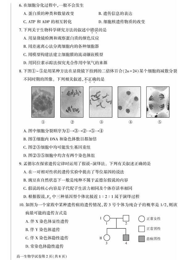 18114050第2页