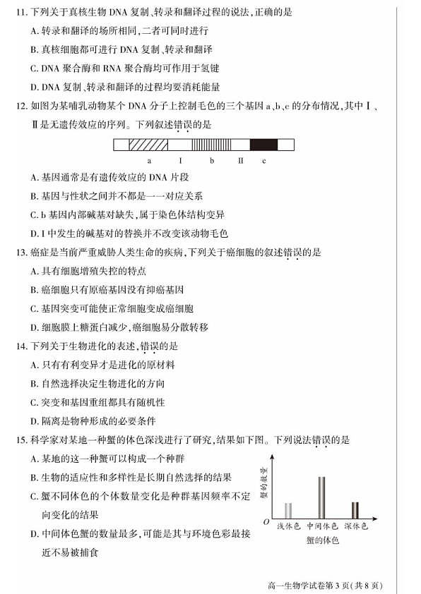 18114050第3页