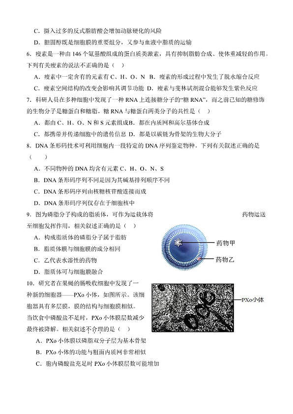 18114051第2页