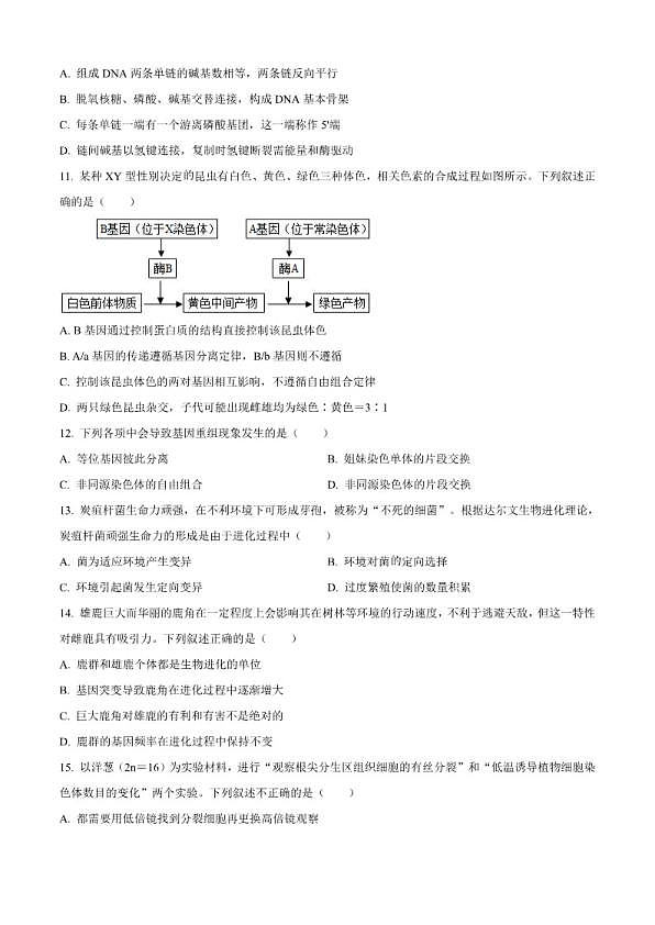 18114146第3页