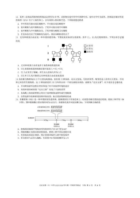 18114159第3页