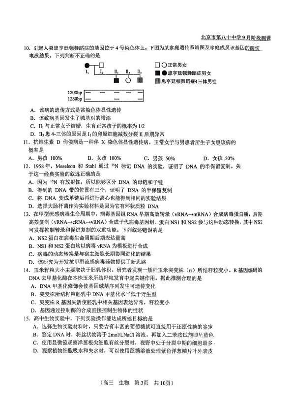 18114211第3页