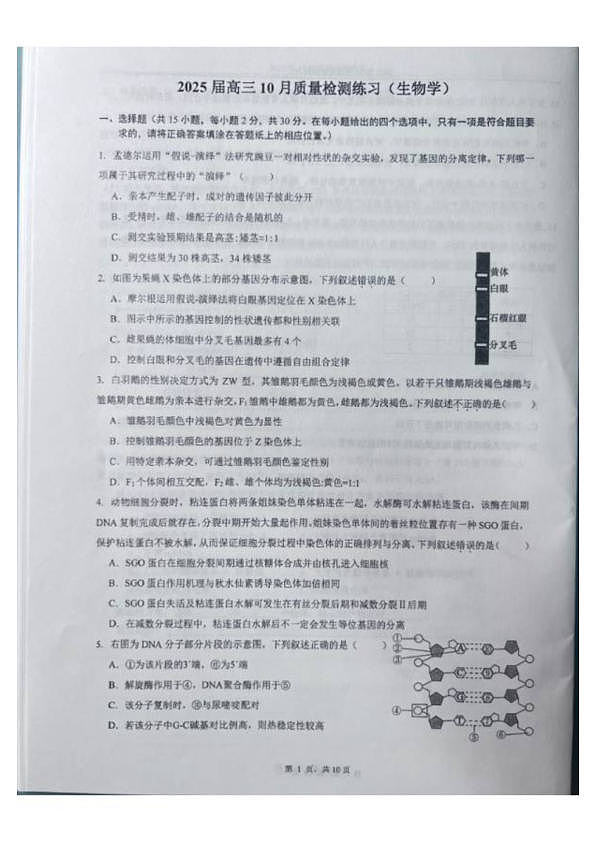 18114304第1页