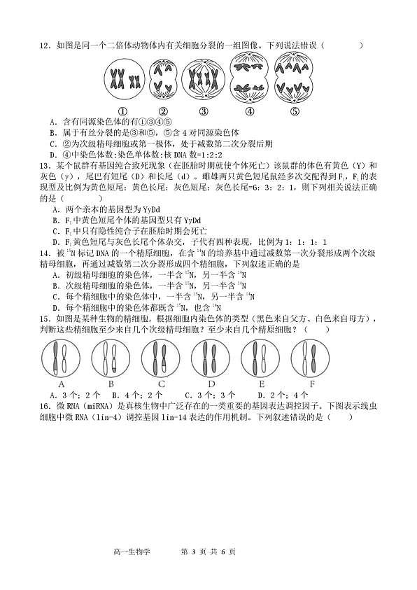 18114526第3页