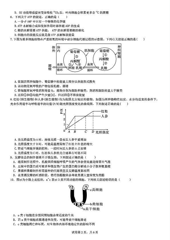 四川省成都市第七中学2024-2025学年高二下学期2026届零诊模拟考试生物试题第2页