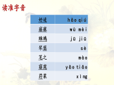 统编版语文八年级下册12《诗经》二首关雎 课件