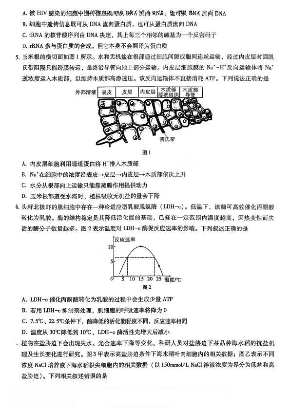 18115893第2页