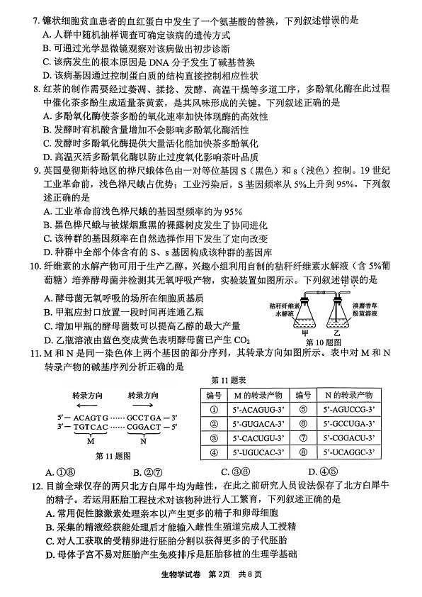 18115915第2页