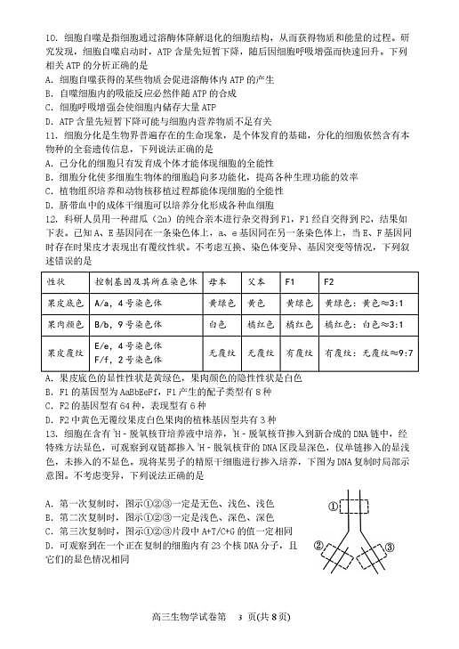 18115916第3页
