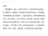 统编版语文二年级下册 14 绝句 课件