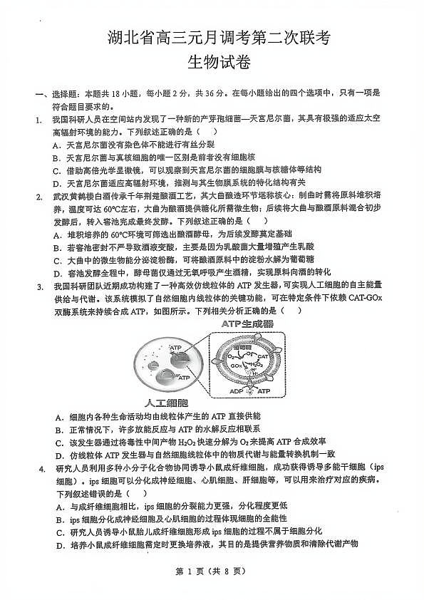 18116121第1页