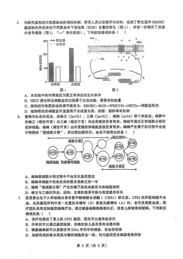 18116121第2页