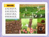 2.7 动植物的家（教学课件）-一年级科学下册同步精品课堂（冀人版 2024）