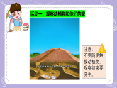 2.7 动植物的家（教学课件）-一年级科学下册同步精品课堂（冀人版 2024）
