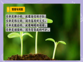 3.9 关爱行动（教学课件）-一年级科学下册同步精品课堂（冀人版 2024）