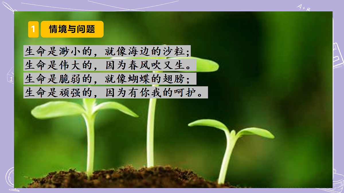 18116301第3页