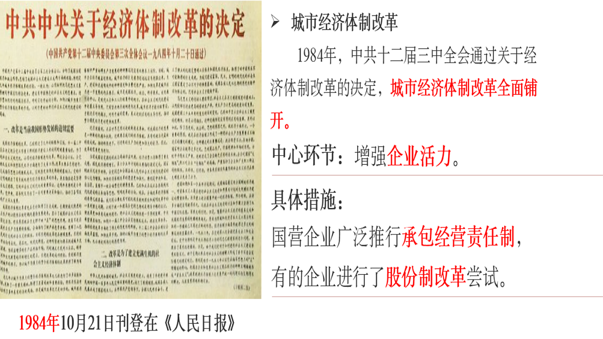 18116347第3页