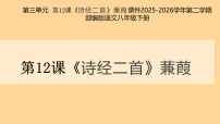 人教部编版（2024）八年级下册（2024）第三单元阅读12《诗经》二首蒹葭图片课件ppt