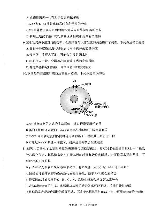 18116590第3页