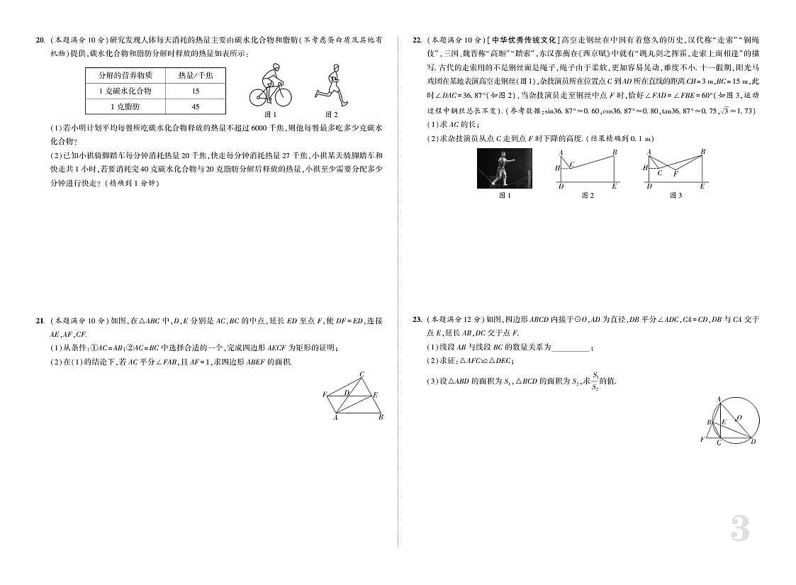 18116636第3页