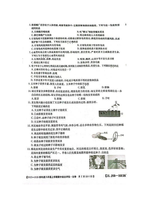18116814第2页