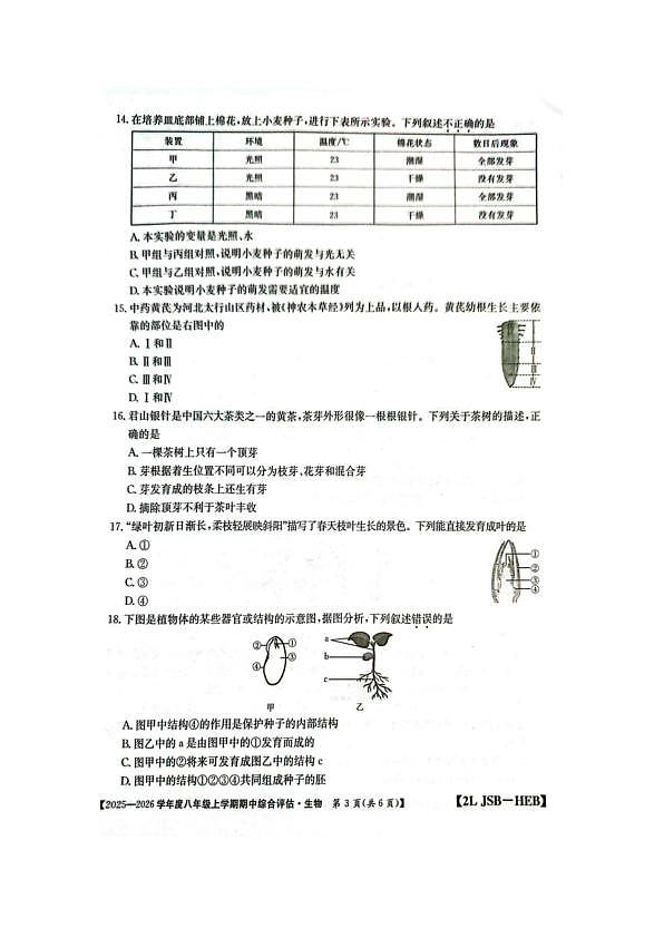 18116814第3页