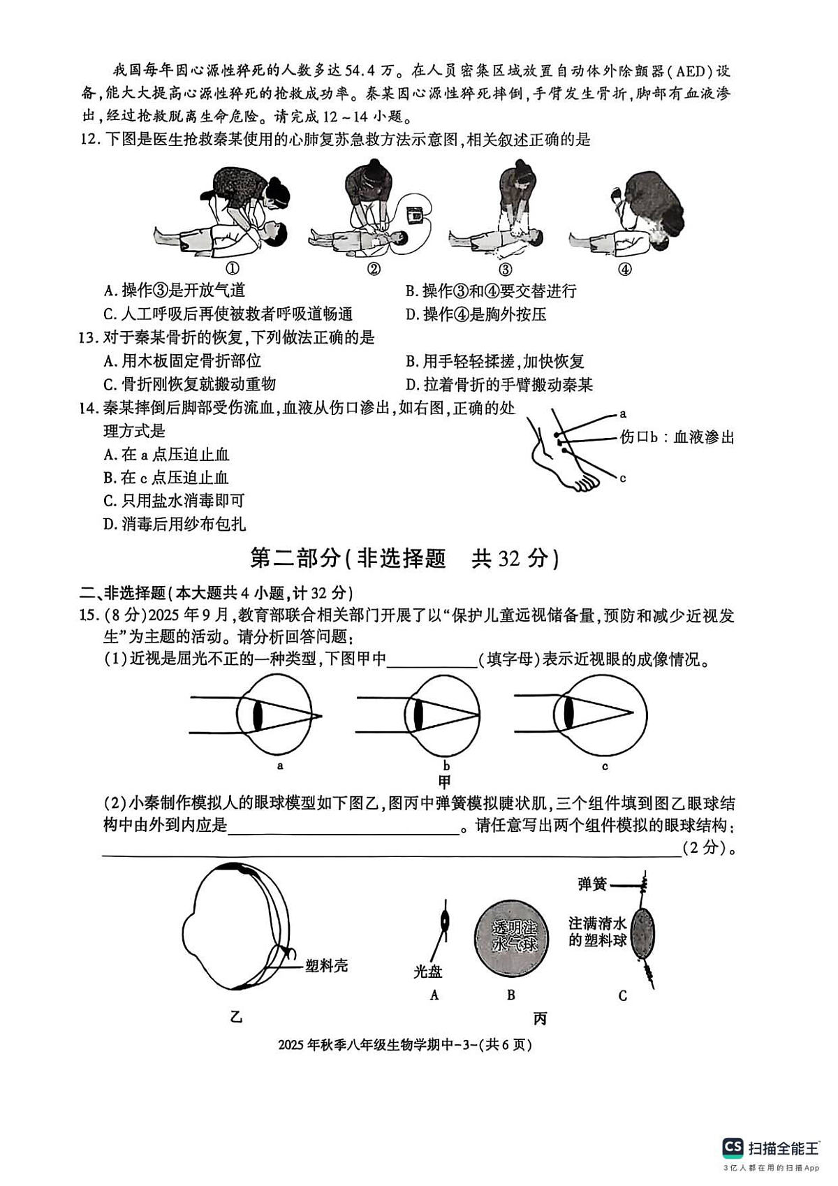 18116816第3页