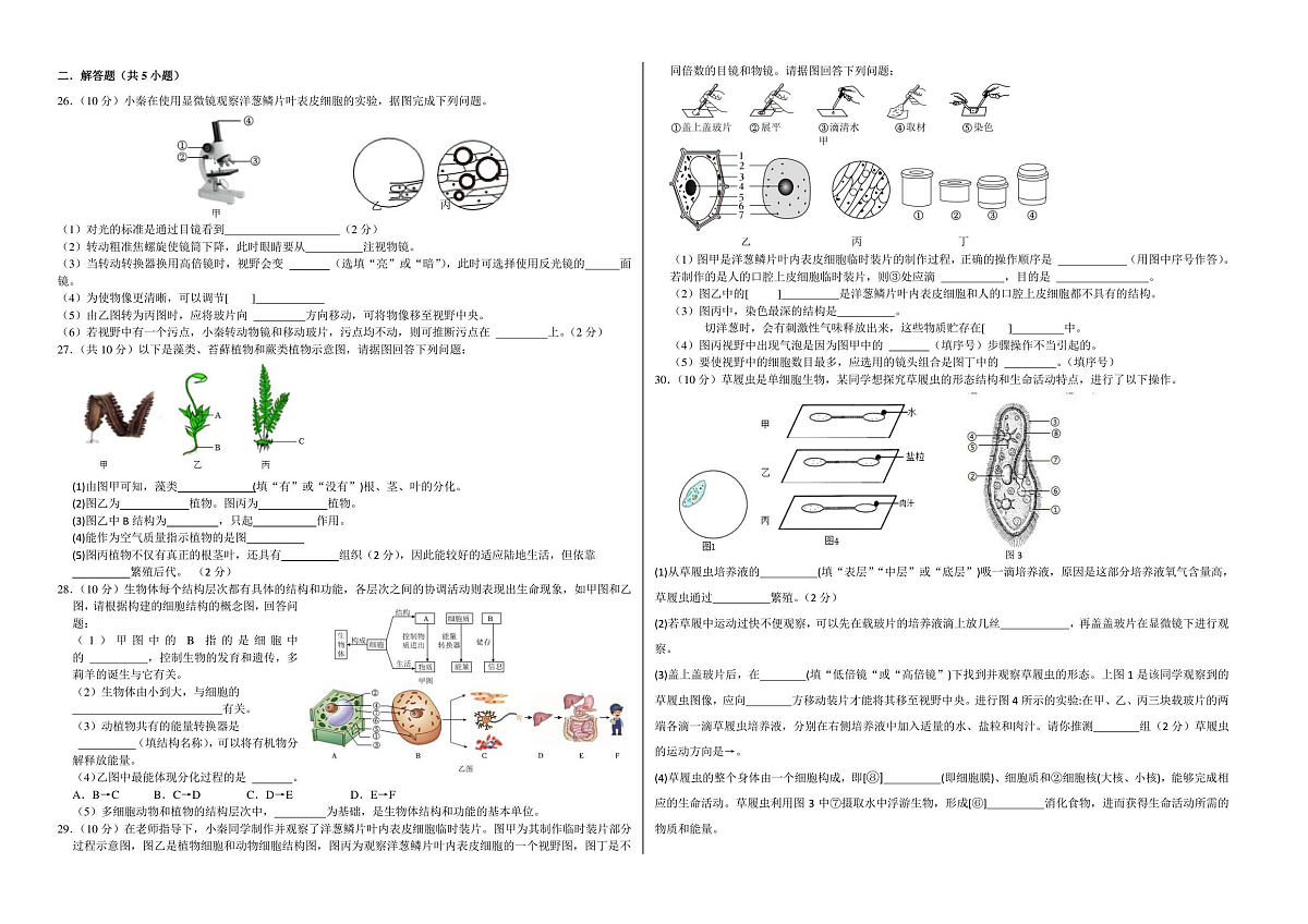 18116820第2页