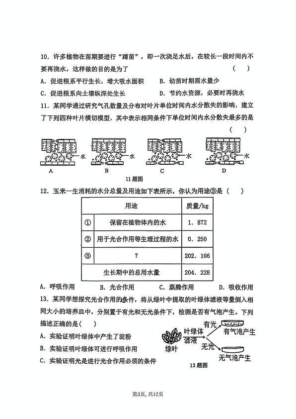 18116832第3页