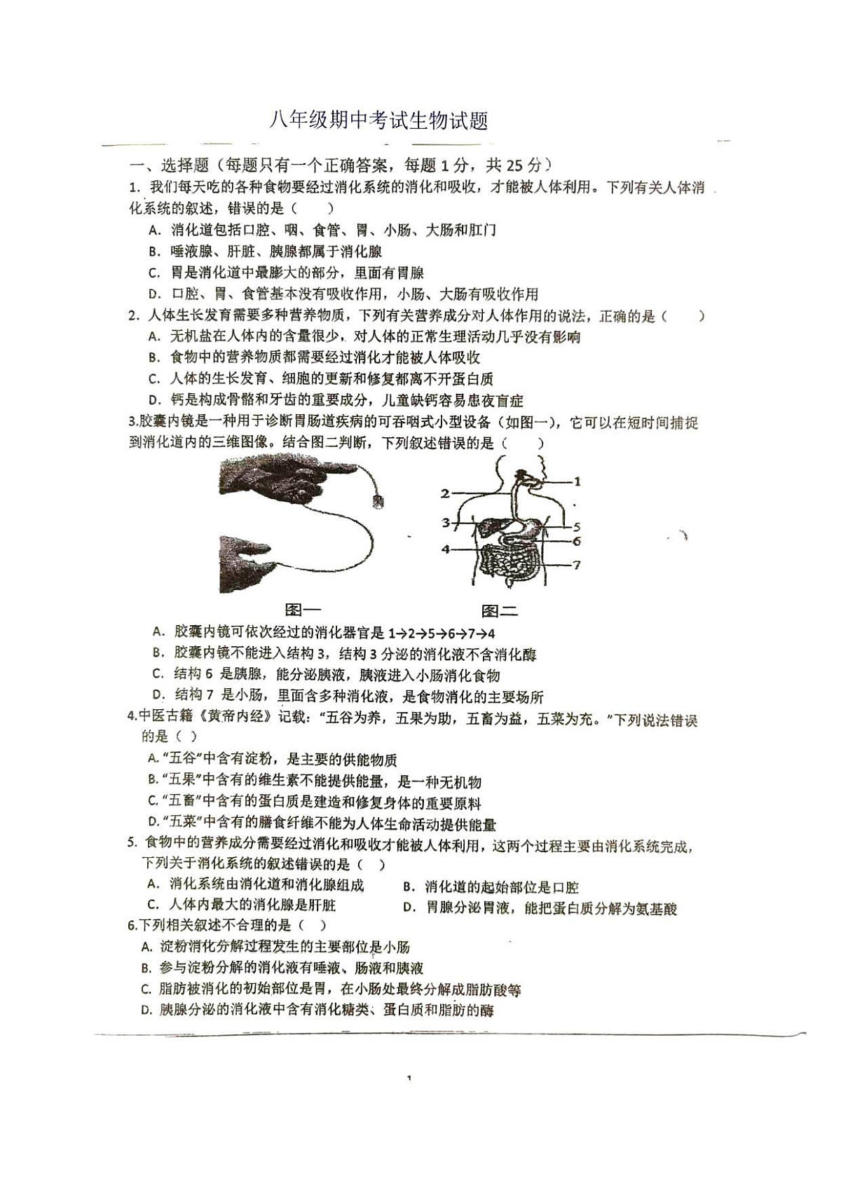 18116833第1页