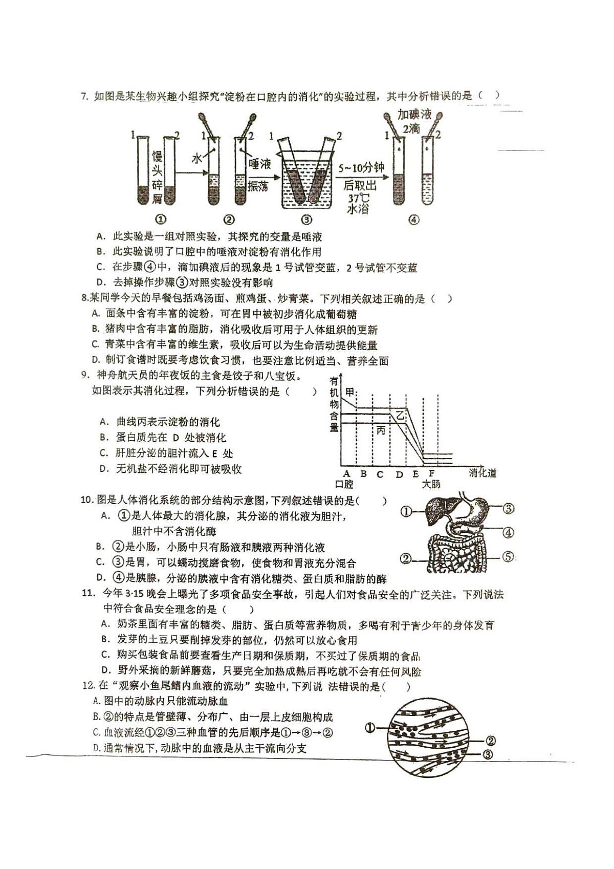 18116833第2页