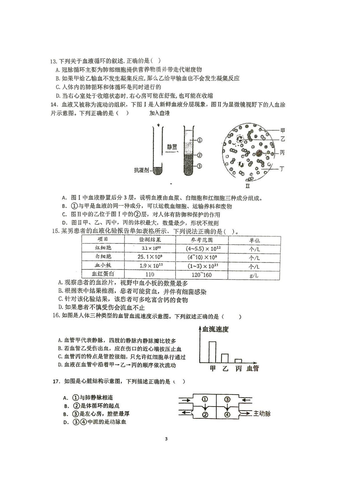 18116833第3页