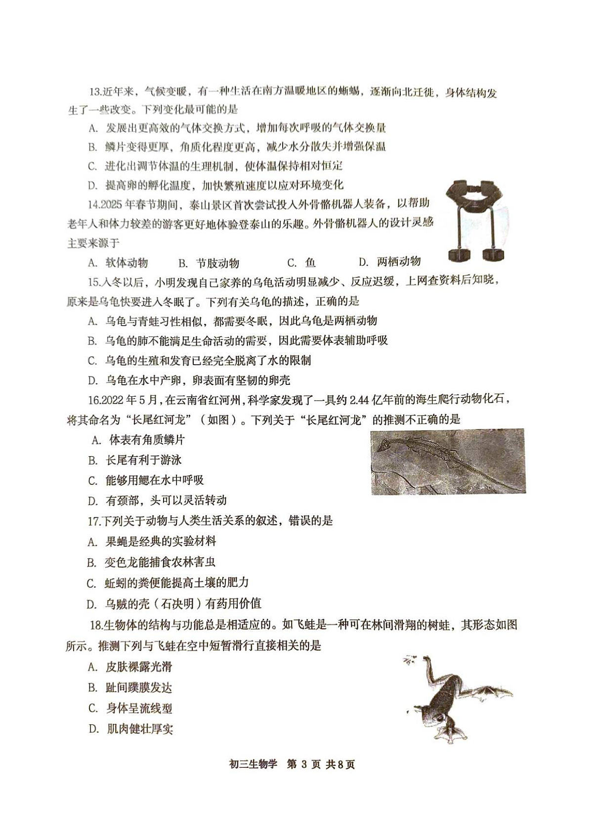 18116834第3页