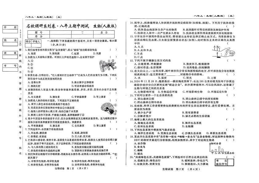 18116838第1页