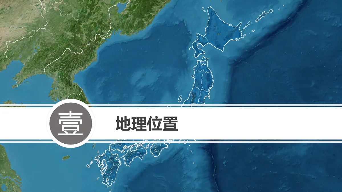 18116869第4页