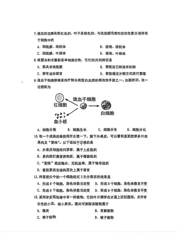 18117012第2页