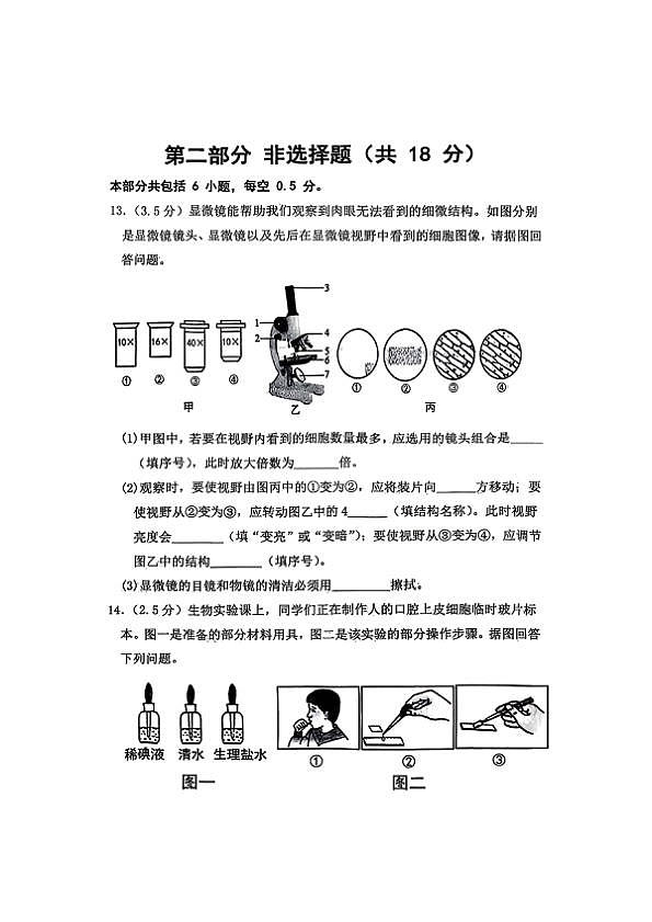 18117012第3页