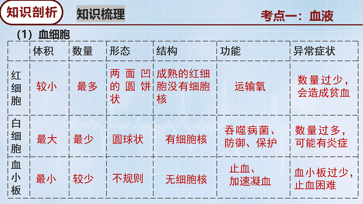 18117066第6页