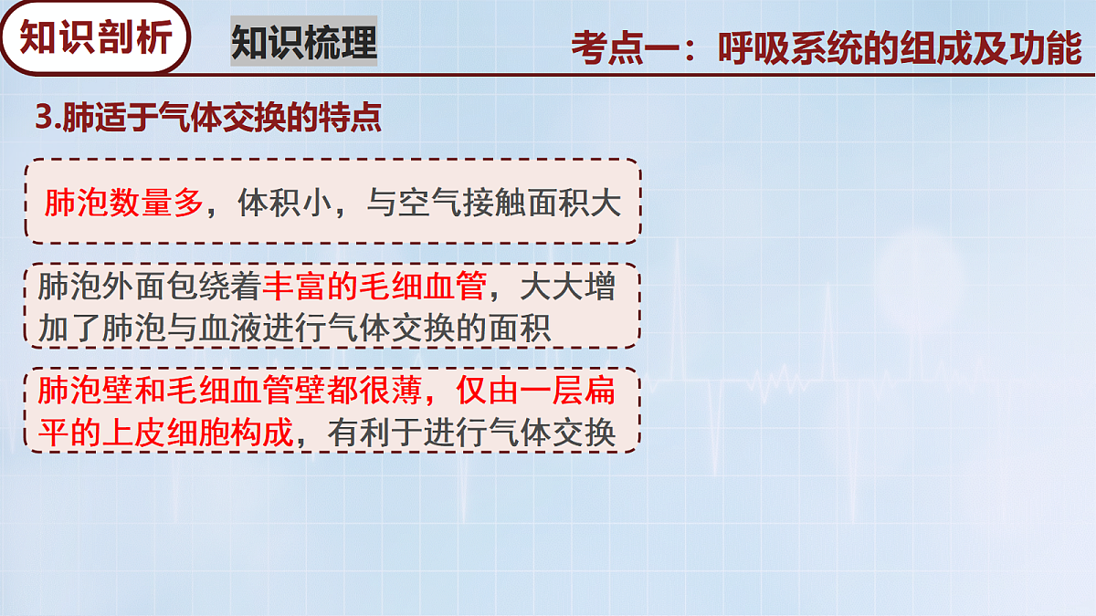 18117067第7页