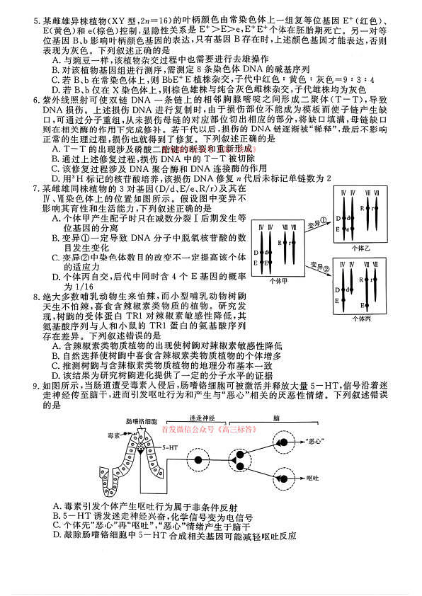 18117188第2页