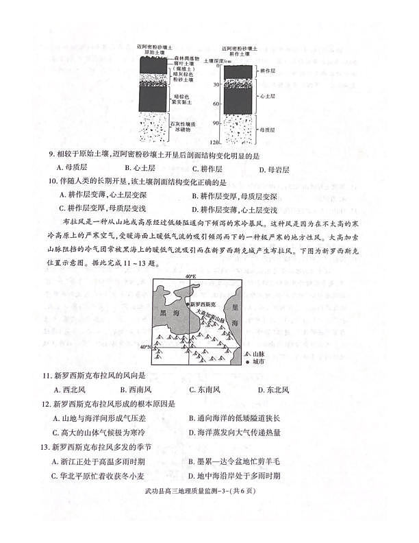 18117262第3页